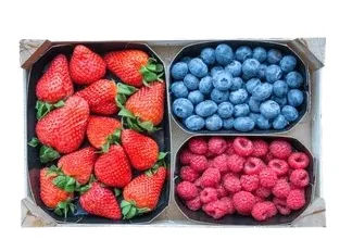 Mixed red berries